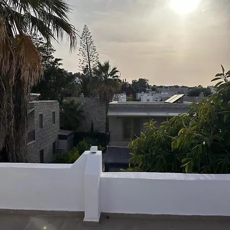 فيلة Merkez De Muestakil Ev
